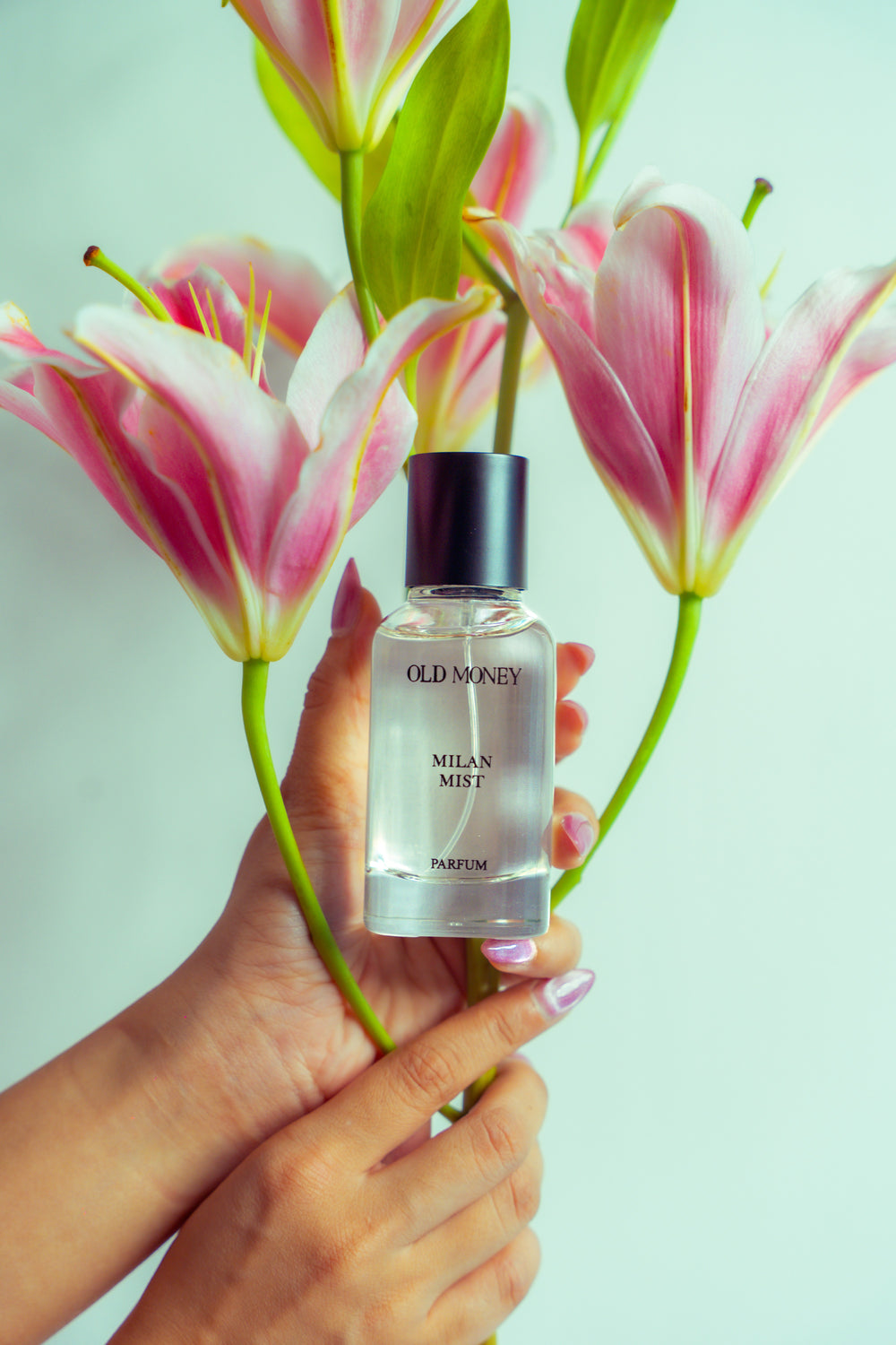 Travel Packs Milan Mist